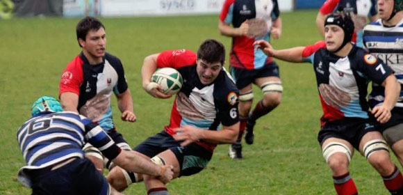 Belfast Harlequins Rugby Club